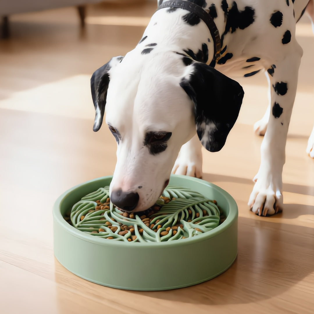 Palm Slow Feeder Bowl