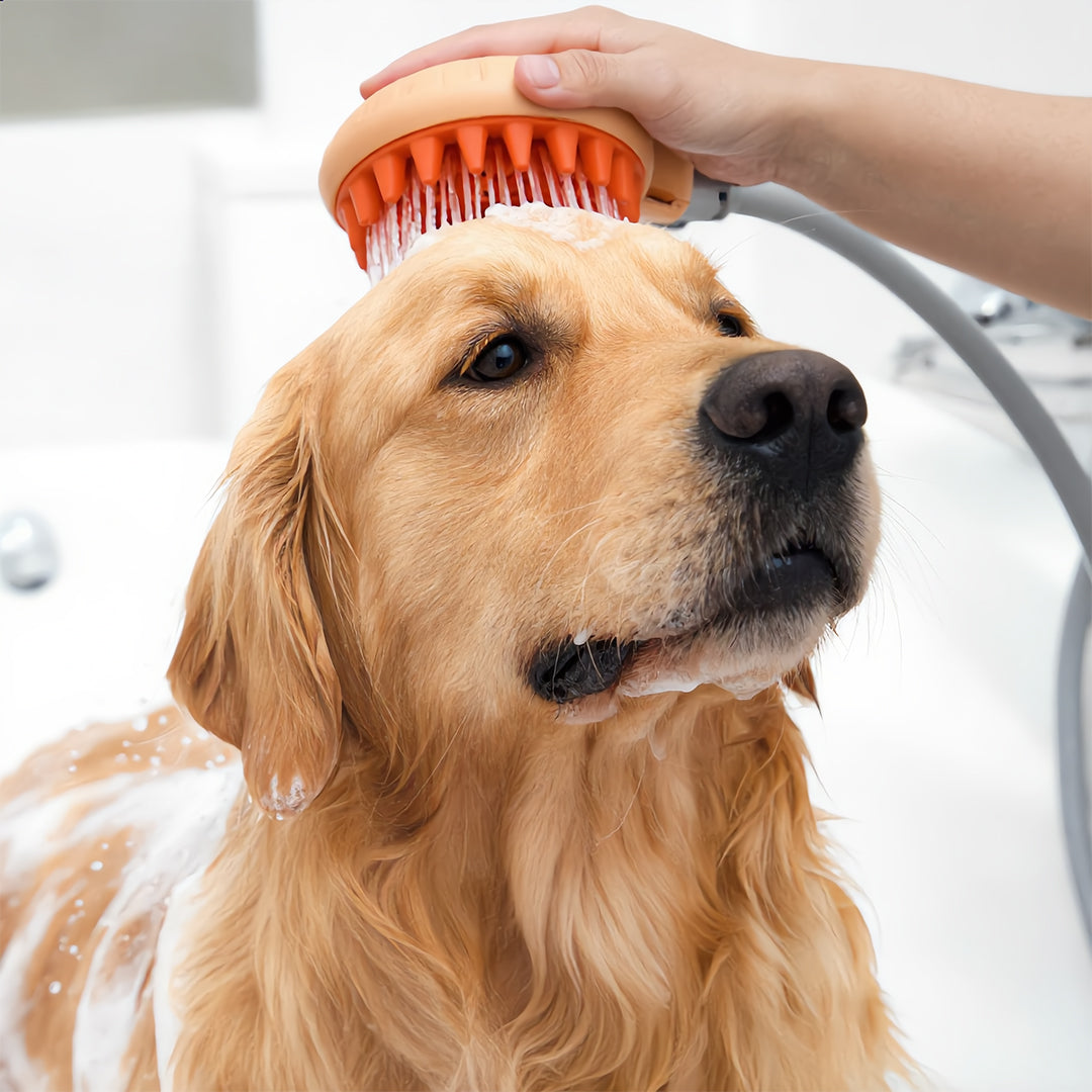 Massage Bath Brush Shower Head