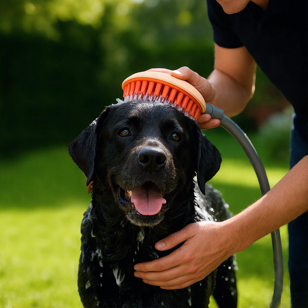 Massage Bath Brush Shower Head