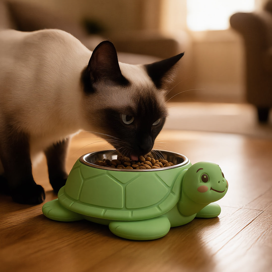 Turtle Tidbits Feeder Bowl