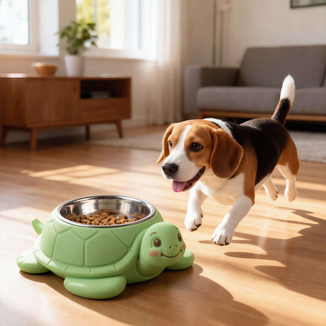 Turtle Tidbits Feeder Bowl