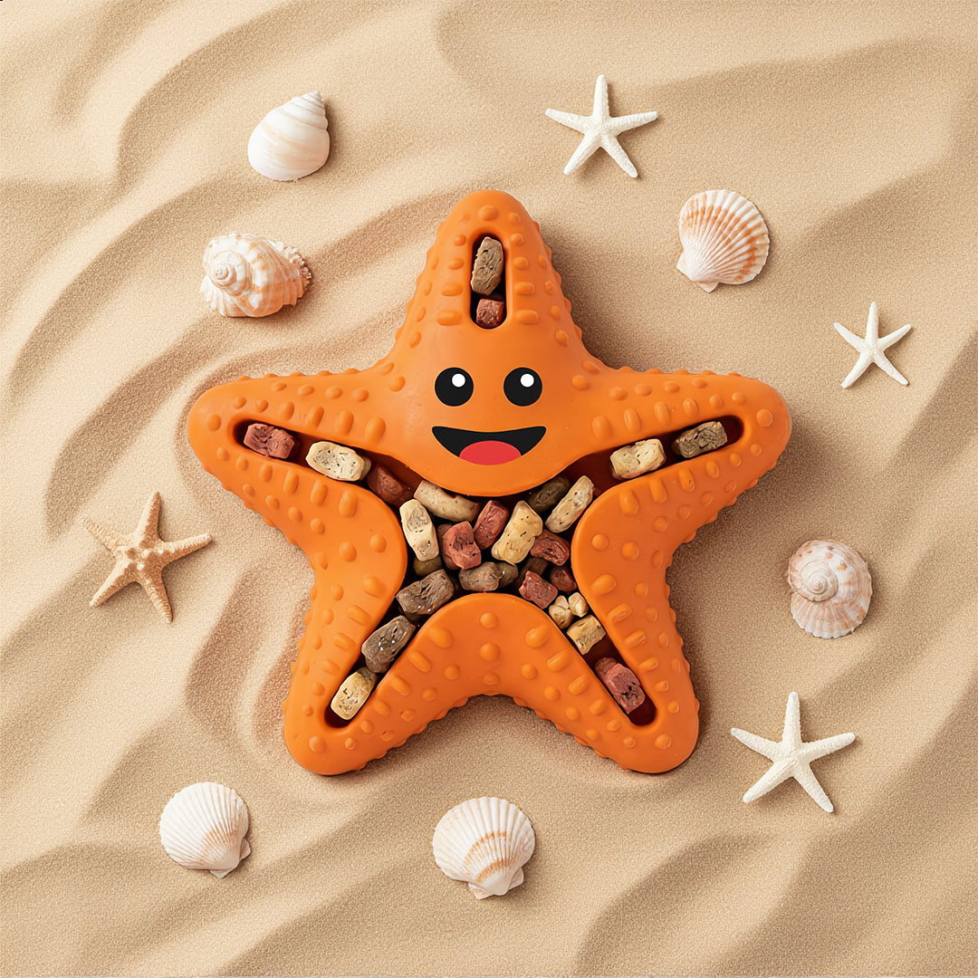 Starfish Snack Seeker