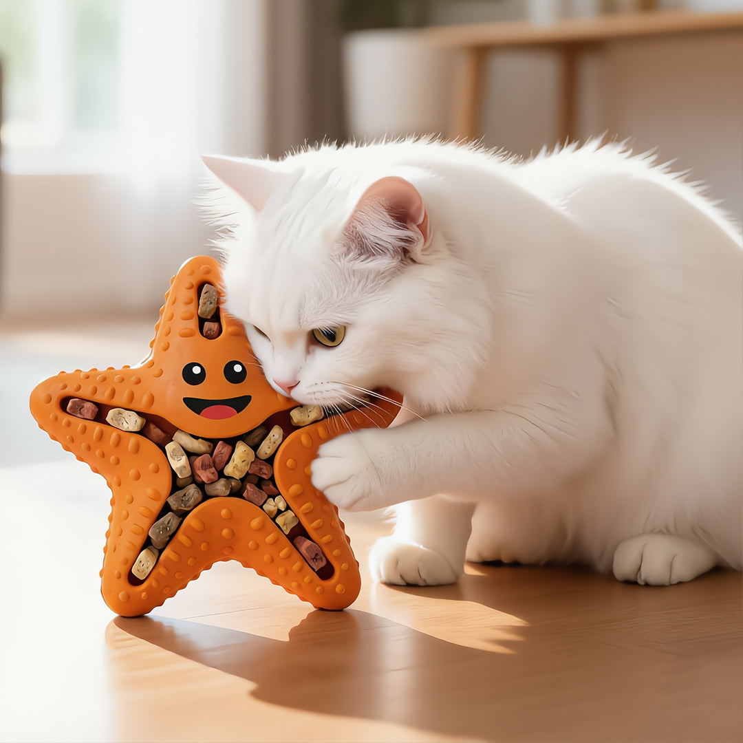 Starfish Snack Seeker