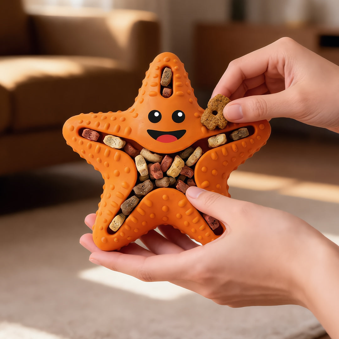 Starfish Snack Seeker