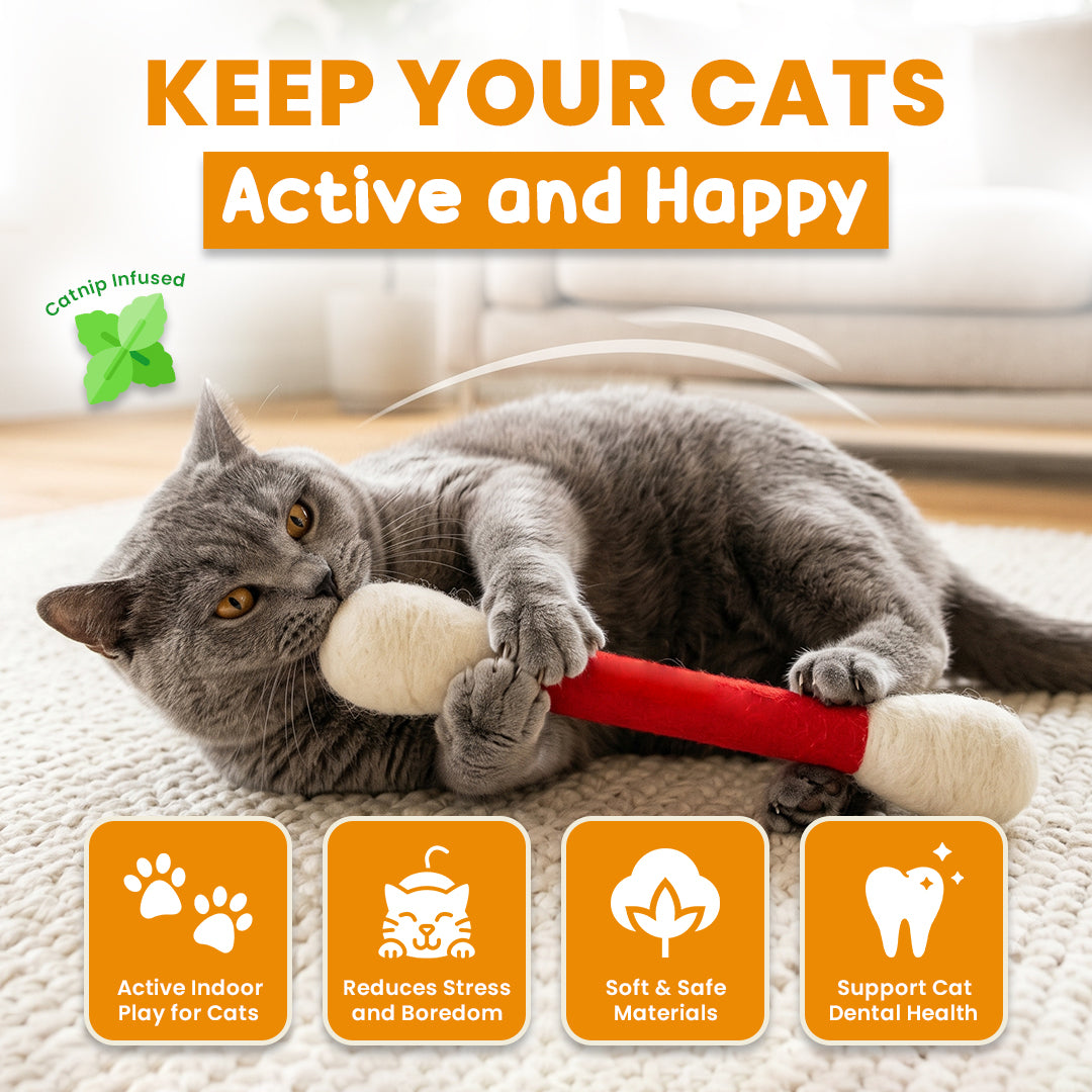 Swabs Catnip Toy Set 😻 Limited Sales 🏆