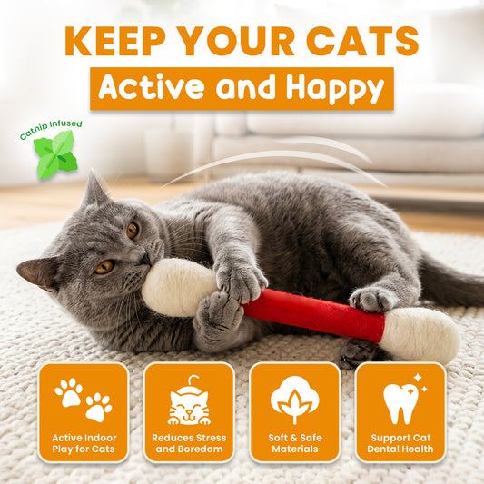 Swabs Catnip Toy Set 😻 Limited Sales 🏆