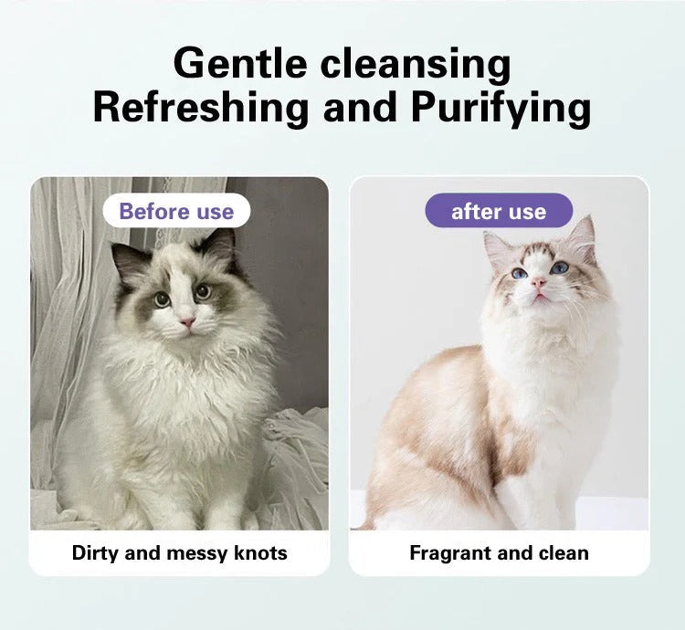 PET Disposable Grooming Wipes