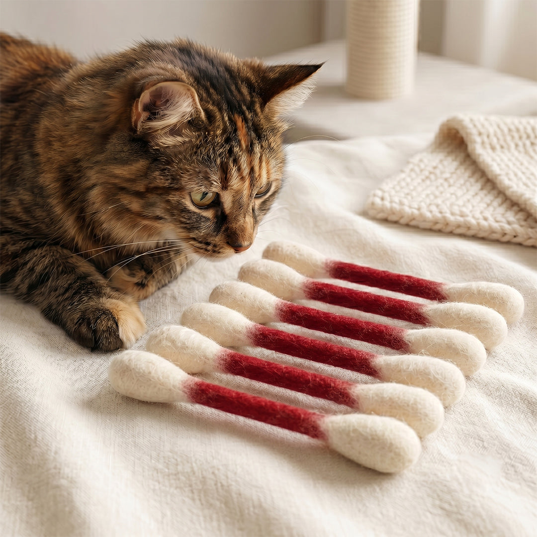Swabs Catnip Toy Set 😻 Limited Sales 🏆