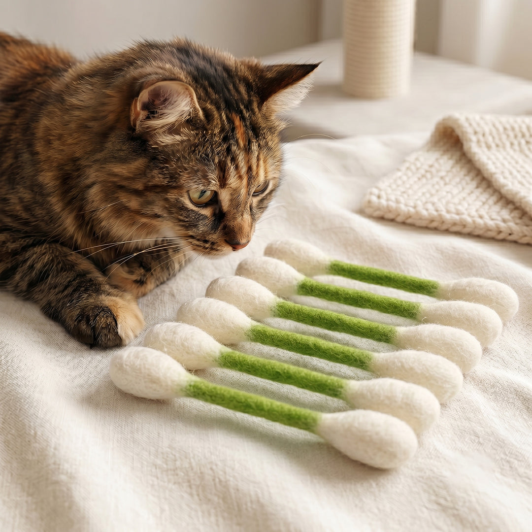 Swabs Catnip Toy Set 😻 Limited Sales 🏆
